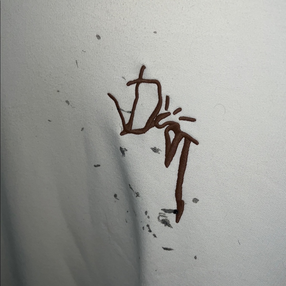 Dior x cactus jack oversized sweatshirt - Picture 2 of 14